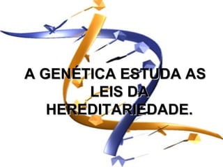 A GENÉTICA ESTUDA AS
       LEIS DA
   HEREDITARIEDADE.
 