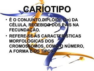 CARÍOTIPO
• É O CONJUNTO DIPLÓIDE (2n) DA
  CÉLULA, RECEBIDO DOS PAIS NA
  FECUNDAÇÃO.
• REFERE-SE ÀS CARACTERÍSTICAS
  MORFOLÓGICAS DOS
  CROMOSSOMOS, COMO O NÚMERO,
  A FORMA E OS TIPOS.
 
