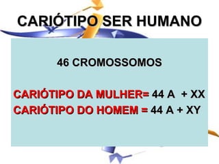 CARIÓTIPO SER HUMANO

      46 CROMOSSOMOS

CARIÓTIPO DA MULHER= 44 A + XX
CARIÓTIPO DO HOMEM = 44 A + XY
 