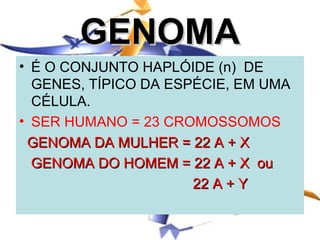 GENOMA
• É O CONJUNTO HAPLÓIDE (n) DE
  GENES, TÍPICO DA ESPÉCIE, EM UMA
  CÉLULA.
• SER HUMANO = 23 CROMOSSOMOS
 GENOMA DA MULHER = 22 A + X
  GENOMA DO HOMEM = 22 A + X ou
                      22 A + Y
 