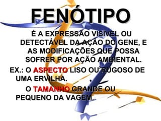 FENÓTIPO
      É A EXPRESSÃO VISÍVEL OU
  DETECTÁVEL DA AÇÃO DO GENE, E
     AS MODIFICAÇÕES QUE POSSA
     SOFRER POR AÇÃO AMBIENTAL.
EX.: O ASPECTO LISO OU RUGOSO DE
 UMA ERVILHA.
     O TAMANHO GRANDE OU
 PEQUENO DA VAGEM.
              VAGEM
 