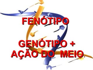 FENÓTIPO

 GENÓTIPO +
AÇÃO DO MEIO.
 