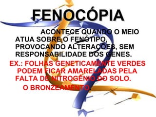 FENOCÓPIA
        ACONTECE QUANDO O MEIO
 ATUA SOBRE O FENÓTIPO,
 PROVOCANDO ALTERAÇÕES, SEM
 RESPONSABILIDADE DOS GENES.
EX.: FOLHAS GENETICAMENTE VERDES
  PODEM FICAR AMARELADAS PELA
 FALTA DE NITROGÊNIO DO SOLO.
    O BRONZEAMENTO.
 