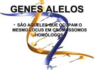 GENES ALELOS
• SÃO AQUELES QUE OCUPAM O
MESMO LOCUS EM CROMOSSOMOS
        HOMÓLOGOS.
 