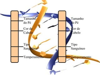 Tamanho        Tamanho
do Pé          do Pé
Cor de         Cor de
Cabelo         Cabelo


Tipo           Tipo
Sanguíneo      Sanguíneo

Temperamento   Temperamento
 