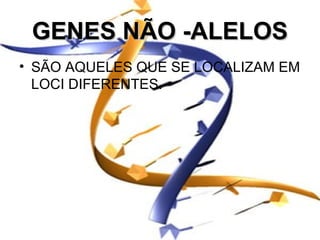 GENES NÃO -ALELOS
• SÃO AQUELES QUE SE LOCALIZAM EM
  LOCI DIFERENTES.
 