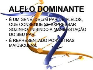 ALELO DOMINANTE
• É UM GENE, DE UM PAR DE ALELOS,
  QUE CONSEGUE SE EXPRESSAR
  SOZINHO, INIBINDO A MANIFESTAÇÃO
  DO SEU PAR.
• É REPRESENTADO POR LETRAS
  MAIÚSCULAS.
 