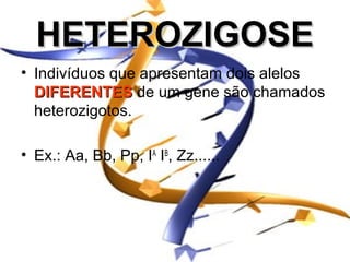 HETEROZIGOSE
• Indivíduos que apresentam dois alelos
  DIFERENTES de um gene são chamados
  heterozigotos.

• Ex.: Aa, Bb, Pp, IA IB, Zz......
 
