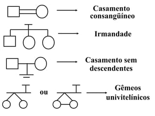 Casamento
      consangüíneo

       Irmandade


     Casamento sem
      descendentes

            Gêmeos
ou
          univitelínicos
 