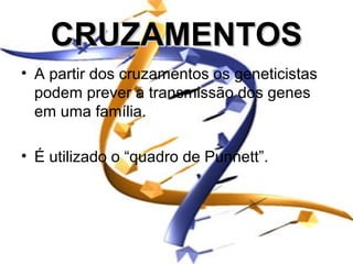 CRUZAMENTOS
• A partir dos cruzamentos os geneticistas
  podem prever a transmissão dos genes
  em uma família.

• É utilizado o “quadro de Punnett”.
 