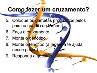 Como fazer um cruzamento?
5. Coloque os gametas produzidos pelos
   pais no quadro de Punnett.
6. Faça o cruzamento.
7. Monte o genótipo.
8. Monte o fenótipo (a legenda te ajuda
   nesse passo)
9. Responda a questão.
 