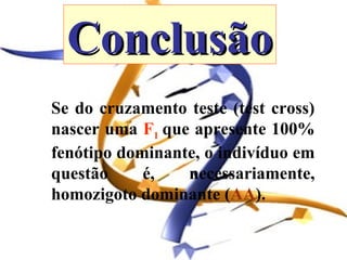 Conclusão
Se do cruzamento teste (test cross)
nascer uma F1 que apresente 100%
fenótipo dominante, o indivíduo em
questão     é,   necessariamente,
homozigoto dominante (AA).
 