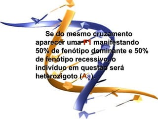 Se do mesmo cruzamento
aparecer uma F1 manifestando
50% de fenótipo dominante e 50%
de fenótipo recessivo, o
indivíduo em questão será
heterozigoto (Aa).
 