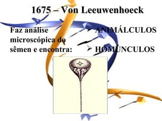 1675 – Von Leeuwenhoeck
Faz análise          ANIMÁLCULOS
microscópica do
sêmen e encontra:    HOMÚNCULOS
 
