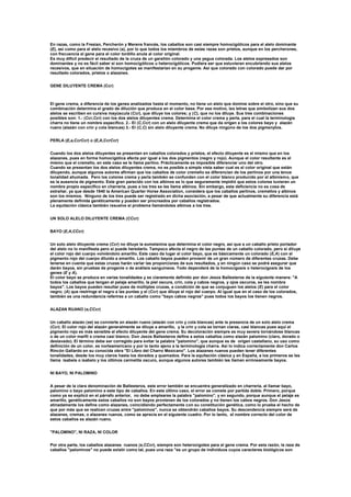 En razas, como la Fresian, Percherón y Merens francés, los caballos son casi siempre homocigóticos para el alelo dominante
(E), así como para el alelo recesivo (a), por lo que todos los miembros de estas razas son prietos, aunque en los percherones,
con frecuencia el gene para el color tordillo anula al color original.
Es muy difícil predecir el resultado de la cruza de un garañón colorado y una yegua colorada. Los alelos expresados son
dominantes y no es fácil saber si son homocigóticos u heterocigóticos. Pudiera ser que estuvieran encubriendo sus alelos
recesivos, que en situación de homocigotes se manifestarían en su progenie. Así que colorado con colorado puede dar por
resultado colorados, prietos o alazanes.
GENE DILUYENTE CREMA (Ccr)
El gene crema, a diferencia de los genes analizados hasta el momento, no tiene un alelo que domine sobre el otro, sino que su
combinación determina el grado de dilución que produce en el color base. Por ese motivo, las letras que simbolizan sus dos
alelos se escriben en cursiva mayúscula (Ccr), que diluye los colores; y (C), que no los diluye. Sus tres combinaciones
posibles son: 1.- (Ccr,Ccr) con los dos alelos diluyentes crema. Determina el color crema y perla, para el cual la terminología
charra no tiene un nombre especifico. 2.- El (C,Ccr) con un alelo diluyente crema que da origen a los colores bayo y alazán
ruano (alazán con crin y cola blancas) 3.- El (C,C) sin alelo diluyente crema. No diluye ningúno de los dos pigmenytos.
PERLA (E,a,CcrCcr) o (E,A,CcrCcr)
Cuando los dos alelos diluyentes se presentan en caballos colorados y prietos, el efecto diluyente es el mismo que en los
alazanes, pues en forma homocigótica afecta por igual a los dos pigmentos (negro y rojo). Aunque el color resultante es el
mismo que el cremello, en este caso se le llama perlino. Prácticamente es imposible diferenciar uno del otro.
Cuando se presentan los dos alelos diluyentes crema, no es posible a simple vista saber cual es el color original que están
diluyendo, aunque algunos autores afirman que los caballos de color cremello se diferencian de los perlinos por una tenue
tonalidad ahumada. Pero los colores crema y perla también se confunden con el color blanco producido por el albinismo, que
es la ausencia de pigmento. Este gran parecido con los albinos es lo que seguramente impidió que estos colores tuvieran un
nombre propio específico en charreria, pues a los tres se les llama albinos. Sin embargo, esta deficiencia no es cosa de
extrañar, ya que desde 1940 la American Quarter Horse Association, considera que los caballos perlinos, cremellos y albinos
son los mismos. Ninguno de los tres puede ser registrado en dicha asociación, a pesar de que actualmente su diferencia está
plenamente definida genéticamente y pueden ser procreados por caballos registrados.
La equitación clásica también resuelve el problema llamándoles albinos a los tres.
UN SOLO ALELO DILUYENTE CREMA (CCcr)
BAYO (E,A,CCcr)
Un solo alelo diluyente crema (Ccr) no diluye la eumelanina que determina el color negro, así que a un caballo prieto portador
del alelo no lo manifiesta pero si puede heredarlo. Tampoco afecta el negro de las puntas de un caballo colorado, pero si diluye
el color rojo del cuerpo volviéndolo amarillo. Este caso da lugar al color bayo, que es básicamente un colorado (E,A) con el
pigmento rojo del cuerpo diluido a amarillo. Los caballo bayos pueden provenir de un gran número de diferentes cruzas. Debe
tenerse en cuenta que estas cruzas harán variar las proporciones de sus resultados, y en ningún caso se podrá asegurar que
darán bayos, sin pruebas de progenie o de análisis sanguíneos. Todo dependerá de la homocigosis o heterocigosis de los
genes (E y A).
El color bayo se produce en varias tonalidades y es claramente definido por don Jesús Ballesteros de la siguiente manera: "A
todos los caballos que tengan el pelaje amarillo, la piel oscura, crin, cola y cabos negros, y ojos oscuros, se les nombra
bayos". Los bayos pueden resultar pues de múltiples cruzas, a condición de que se conjuguen los alelos (E) para el color
negro; (A) que restringe el negro a las puntas y el (Ccr) que diluye el rojo del cuerpo. Al igual que en el caso de los colorados,
también es una redundancia referirse a un caballo como "bayo cabos negros" pues todos los bayos los tienen negros.
ALAZAN RUANO (e,CCcr)
Un caballo alazán (ee) se convierte en alazán ruano (alazán con crin y cola blancas) ante la presencia de un solo alelo crema
(Ccr). El color rojo del alazán generalmente se diluye a amarillo, y la crin y cola se tornan claras, casi blancas pues aquí el
pigmento rojo es más sensible al efecto diluyente del gene crema. Su decoloración siempre es muy severa tornándose blancas
o de un color marfil o crema casi blanco. Don Jesús Ballesteros define a estos caballos como alazán palomino (claro, dorado o
deslavado). El término debe ser corregido para evitar la palabra "palomino", que aunque es de origen castellano, su uso como
definición de un color, es norteamericano y por lo tanto ajeno a la terminología charra. Así lo indica correctamente don Carlos
Rincón Gallardo en su conocida obra "El Libro del Charro Mexicano". Los alazanes ruanos pueden tener diferentes
tonalidades, desde los muy claros hasta los dorados y quemados. Para la equitación clásica y en España, a los primeros se les
llama isabela o isabelo y los últimos carmelita oscuro, aunque algunos autores también les llaman erróneamente bayos.
NI BAYO, NI PALOMINO
A pesar de la clara denominación de Ballesteros, este error también se encuentra generalizado en charrería, al llamar bayo,
palomino o bayo palomino a este tipo de caballos. En este último caso, el error se comete por partida doble. Primero, porque
como ya se explicó en el párrafo anterior, no debe emplearse la palabra "palomino", y en segundo, porque aunque el pelaje es
amarillo, genéticamente estos caballos no son bayos provienen de los colorados y no tienen los cabos negros. Don Jesús
atinadamente los define como alazanes, coincidiendo perfectamente con su constitución genética, como lo prueba el hecho de
que por más que se realicen cruzas entre "palominos", nunca se obtendrán caballos bayos. Su descendencia siempre será de
alazanes, cremas, o alazanes ruanos, como se aprecia en el siguiente cuadro. Por lo tanto, el nombre correcto del color de
estos caballos es alazán ruano.
"PALOMINO", NI RAZA, NI COLOR
Por otra parte, los caballos alazanes ruanos (e,CCcr), siempre son heterocigotes para el gene crema. Por esta razón, la raza de
caballos "palominos" no puede existir como tal, pues una raza "es un grupo de individuos cuyos caracteres biológicos son
 