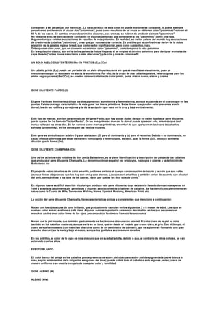 constantes y se perpetúan por herencia". La característica de este color no puede mantenerse constante, ni puede siempre
perpetuarse por herencia al cruzar dos "palominos", pues como resultado de tal cruza se obtienen crías "palominas" solo en el
50 % de los casos. En cambio, cruzando animales alazanes, con cremas, se habrán de producir siempre "palominos".
No obstante esto, se dan casos de confusión en algunas personas que consideran a los "palominos" como una raza.
Argumentan que existen asociaciones de caballos de raza palomina. En realidad, en varios países del mundo hay asociaciones
de criadores de caballos "palominos", cosa que por supuesto es correcta. Es posible que la confusión se derive de la doble
acepción de la palabra inglesa breed, que como verbo significa criar, pero como sustantivo, raza.
Debe quedar claro pues, que en charrería no existe el color "palomino", como tampoco la raza palomina.
En la equitación clásica, aún en la de los países de habla hispana, sí se emplea el término palomino para designar animales de
capa dorada ("o tres tonos más claros o más obscuros") y de crin y cola de color marfil.
UN SOLO ALELO DILUYENTE CREMA EN PRIETOS (E,a,CCcr)
Un caballo prieto (E,a) puede ser portador de un alelo diluyente crema sin que se manifieste visualmente, pues ya
mencionamos que un solo alelo no afecta la eumelanina. Por ello, de la cruza de dos caballos prietos, heterocigotes para los
alelos negro y crema (Ee,CCcr), se pueden obtener caballos de color prieto, perla, alazán ruano, alazán y crema.
GENE DILUYENTE PARDO (D)
El gene Pardo es dominante y diluye los dos pigmentos: eumelanina y faeomelanina, aunque actúa más en el cuerpo que en las
puntas. Existe un rasgo característico de este gene: las líneas primitivas. Estas líneas que pueden estar presentes son la
dorsal, las de las rodillas y corvejones y la de la escápula (que nace en la cruz y baja verticalmente).
Este tipo de marcas, son tan características del gene Pardo, que hay pocas dudas de que no estén ligadas al gene diluyente,
por lo que se les ha llamado "factor Pardo". De las tres primeras marcas, la dorsal puede aparecer sola, mientras que casi
nunca lo hacen las otras dos. Se les conoce como marcas primitivas, en virtud de que aparecen en las razas de caballos
salvajes (przewalsky), en los asnos y en las bestias mulares.
Este gene se simboliza con la letra D y sus alelos son (D) para el dominante y (d) para el recesivo. Debido a su dominancia, no
causa efectos diferentes por estar de manera homocigota o heterocigota, es decir, que la forma (DD), produce la misma
dilución que la forma (Dd).
GENE DILUYENTE CHAMPAÑA (Ch)
Uno de los aciertos más notables de don Jesús Ballesteros, es la plena identificación y descripción del pelaje de los caballos
que produce el gene diluyente Champaña. La denominación en español es: orisbayos, rusbayos o güeros y la definición de
Ballesteros es:
El pelaje de estos caballos es de color amarillo, uniforme en todo el cuerpo con excepción de la crin y la cola que son cafés
(aunque líneas abajo anota que los hay con crin y cola blanca). Los ojos son amarillos y también varían de acuerdo con el color
del pelo, semejándose a los ojos de las cabras, razón por que se les dice ojos de chivo."
En algunos casos es difícil describir el color que produce este gene diluyente, cuya existencia ha sido demostrada apenas en
1996 y aceptada cabalmente por genetistas y algunas asociaciones de criadores de caballos. Se ha identificado plenamente en
razas como la Cuarto de Milla, Tennessee Walking Horse, Spanish Mustang, American Paint, etc.
La acción del gene diluyente Champaña, tiene características únicas y consistentes que menciono a continuación:
Nacen con los ojos azules de tono brillante, que gradualmente cambian en los siguientes 2 a 6 meses de edad. Los ojos se
vuelven color ámbar, avellana o café claro. Algunos autores reportan la existencia de caballos en los que se conservan
manchas azules en el color firme de los ojos, presentando el fenómeno llamado heterocromía.
Nacen con la piel rozada, que también gradualmente va haciéndose obscura con la edad. El color claro de la piel se nota
también en los caballos maduros, aunque varia en su tono, que va desde el rozado y el crema claro, al gris. Con el tiempo, el
cuero se vuelve moteado (con manchas obscuras como de un centímetro de diámetro, que se aglomeran formando una gran
mancha obscura) en la nariz y bajo el maslo, aunque los genitales se conservan rosados.
En los potrillos, el color de la capa es más obscuro que en su edad adulta, debido a que, al contrario de otros colores, se van
aclarando con los años.
EFECTO BLANCO
El color banco del pelaje en los caballos puede presentarse sobre piel obscura o sobre piel despigmentada (se ve blanca o
rosa, según la intensidad de la irrigación sanguínea del área); puede cubrir todo el caballo o solo algunas partes; crece de
manera uniforme o se mezcla con pelo de cualquier color y tonalidad.
GENE ALBINO (W)
ALBINO (Ww)
 