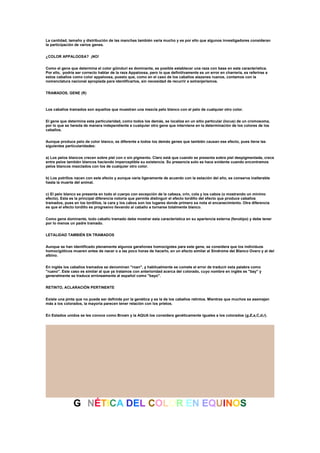 La cantidad, tamaño y distribución de las manchas también varía mucho y es por ello que algunos investigadores consideran
la participación de varios genes.
¿COLOR APPALOOSA? ¡NO!
Como el gene que determina el color güinduri es dominante, es posible establecer una raza con base en esta característica.
Por ello, podría ser correcto hablar de la raza Appaloosa, pero lo que definitivamente es un error en charrería, es referirse a
estos caballos como color appaloosa, puesto que, como en el caso de los caballos alazanes ruanos, contamos con la
nomenclatura nacional apropiada para identificarlos, sin necesidad de recurrir a extranjerismos.
TRAMADOS, GENE (R)
Los caballos tramados son aquellos que muestran una mezcla pelo blanco con el pelo de cualquier otro color.
El gene que determina esta particularidad, como todos los demás, se localiza en un sitio particular (locus) de un cromosoma,
por lo que se hereda de manera independiente a cualquier otro gene que interviene en la determinación de los colores de los
caballos.
Aunque produce pelo de color blanco, es diferente a todos los demás genes que también causan ese efecto, pues tiene las
siguientes particularidades:
a) Los pelos blancos crecen sobre piel con o sin pigmento. Claro está que cuando se presenta sobre piel despigmentada, crece
entre pelos también blancos haciendo imperceptible su existencia. Su presencia solo se hace evidente cuando encontramos
pelos blancos mezclados con los de cualquier otro color.
b) Los potrillos nacen con este efecto y aunque varía ligeramente de acuerdo con la estación del año, se conserva inalterable
hasta la muerte del animal.
c) El pelo blanco se presenta en todo el cuerpo con excepción de la cabeza, crin, cola y los cabos (o mostrando un mínimo
efecto). Esta es la principal diferencia notoria que permite distinguir el efecto tordillo del efecto que produce caballos
tramados, pues en los tordillos, la cara y los cabos son los lugares donde primero se nota el encanecimiento. Otra diferencia
es que el efecto tordillo es progresivo llevando al caballo a tornarse totalmente blanco.
Como gene dominante, todo caballo tramado debe mostrar esta característica en su apariencia externa (fenotipo) y debe tener
por lo menos un padre tramado.
LETALIDAD TAMBIÉN EN TRAMADOS
Aunque se han identificado plenamente algunos garañones homocigotes para este gene, se considera que los individuos
homocigóticos mueren antes de nacer o a las poco horas de hacerlo, en un efecto similar al Síndrome del Blanco Overo y al del
albino.
En inglés los caballos tramados se denominan "roan", y habitualmente se comete el error de traducir esta palabra como
"ruano". Este caso es similar al que ya tratamos con anterioridad acerca del colorado, cuyo nombre en inglés es "bay" y
generalmente se traduce erróneamente al español como "bayo".
RETINTO, ACLARACIÓN PERTINENTE
Existe una pinta que no puede ser definida por la genética y es la de los caballos retintos. Mientras que muchos se asemejan
más a los colorados, la mayoría parecen tener relación con los prietos.
En Estados unidos se les conoce como Brown y la AQUA los considera genéticamente iguales a los colorados (g,E,a,C,d,r).
GENÉTICA DEL COLOR EN EQUINOS
 