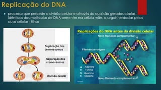  processo que precede a divisão celular e através do qual são geradas cópias
idênticas das moléculas de DNA presentes na célula mãe, a seguir herdadas pelas
duas células - filhas
 