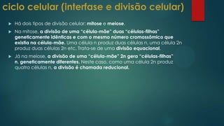  Há dois tipos de divisão celular: mitose e meiose.
 Na mitose, a divisão de uma “célula-mãe” duas “células-filhas”
geneticamente idênticas e com o mesmo número cromossômico que
existia na célula-mãe. Uma célula n produz duas células n, uma célula 2n
produz duas células 2n etc. Trata-se de uma divisão equacional.
 Já na meiose, a divisão de uma “célula-mãe” 2n gera “células-filhas”
n, geneticamente diferentes. Neste caso, como uma célula 2n produz
quatro células n, a divisão é chamada reducional.
 