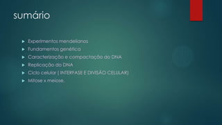sumário
 Experimentos mendelianos
 Fundamentos genética
 Caracterização e compactação do DNA
 Replicação do DNA
 Ciclo celular ( INTERFASE E DIVISÃO CELULAR)
 Mitose x meiose.
 