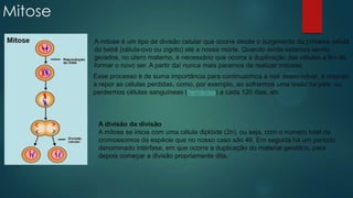 Mitose
A mitose é um tipo de divisão celular que ocorre desde o surgimento da primeira célula
do bebê (célula-ovo ou zigoto) até a nossa morte. Quando ainda estamos sendo
gerados, no útero materno, é necessário que ocorra a duplicação das células a fim de
formar o novo ser. A partir daí nunca mais paramos de realizar mitoses.
Esse processo é de suma importância para continuarmos a nos desenvolver, a crescer,
a repor as células perdidas, como, por exemplo, ao sofrermos uma lesão na pele, ou
perdermos células sanguíneas (hemácias) a cada 120 dias, etc
A divisão da divisão
A mitose se inicia com uma célula diplóide (2n), ou seja, com o número total de
cromossomos da espécie que no nosso caso são 46. Em seguida há um período
denominado intérfase, em que ocorre a duplicação do material genético, para
depois começar a divisão propriamente dita.
 