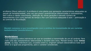 ervilheira (Pisum sativum). A ervilheira é uma planta que apresenta características adequadas ao
estudo da hereditariedade, uma vez que possui características diferenciadas e contrastantes,
fácil cultivo e rápido crescimento, obtenção de várias gerações e elevado número de
descendentes num curto período de tempo e flor com estrutura adequada à auto – polinização e
ao controlo da fecundação.
Mendel começou a sua investigação com a análise da transmissão de um carácter
isoladamente (monibridismo).
Monibridismo
é o cruzamento entre indivíduos em que se considera a transmissão de um só carácter. Para
cada uma das características selecionadas e durante dois anos, Mendel tentou isolar linhas
puras, ou seja, indivíduos que, cruzados entre si, originam sempre descendência toda igual
entre si e igual aos progenitores, para o carácter considerado.
 