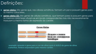 Definições:
 genes alelos: São genes que, nas células somáticas, formam um par e possuem genes para
os mesmo caracteres.
 genes alelos (2): São genes de células somáticas, que formam pares e possuem genes para
os mesmos caracteres; situam-se em locais correspondentes mas não necessariamente
traduzam a mesma forma de expressão do caráter.
exemplo: quando o gene para a cor de olhos azuis é ALELO do gene de olhos
castanhos. Ambos respondem pelo mesmo caráter.
 