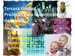 Tercera Unidad
Procesos para la continuidad
de la vida
Tema
El desarrollo e
importancia de la
genética

Patricia Martínez
2014

 