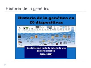 Historia de la genética
 