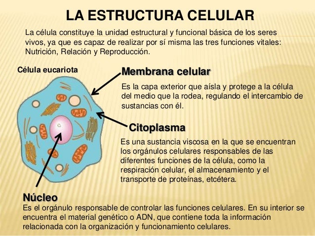 Imagen relacionada