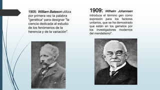 1905: William Bateson utiliza
por primera vez la palabra
"genética“ para designar "la
ciencia dedicada al estudio
de los fenómenos de la
herencia y de la variación".
1909: Wilhelm Johannsen
introduce el término gen como
expresión para los factores
unitarios, que se ha demostrado
que están en los gametos por
los investigadores modernos
del mendelismo".
 
