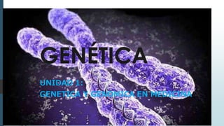 GENÉTICA
UNIDAD 1:
GENETICA Y GENOMICA EN MEDICINA
 