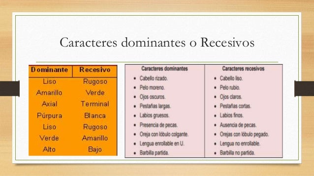 Caracteres Dominantes Y Recesivos En El Ser Humano es.slideshare.net