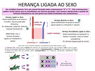 HERANÇA LIGADA AO SEXO
 