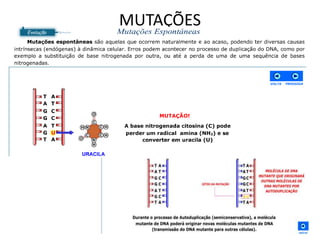 MUTAÇÕES
 