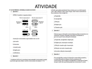 ATIVIDADE
 
