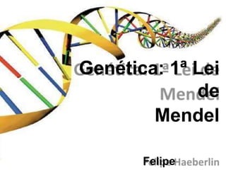 Genética: 1ª Lei
de
Mendel
Felipe
 