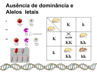 Ausência de dominância e
Alelos letais
 
