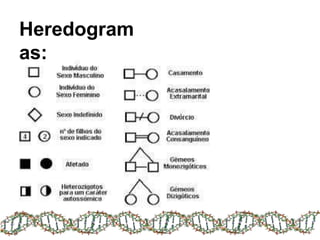 Heredogram
as:
 