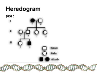 Heredogram
as:
 