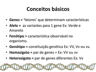 Conceitos básicos
• Genes = ‘fatores’ que determinam características
• Alelo = as variantes para 1 gene Ex: Verde e
Amarelo
• Fenótipo = característica observável no
organismo.
• Genótipo = constituição genética Ex: VV, Vv ou vv.
• Homozigoto = par de genes = Ex: VV ou vv
• Heterozigoto = par de genes diferentes Ex: Vv
 