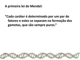 A primeira lei de Mendel:
“Cada caráter é determinado por um par de
fatores e estes se separam na formação dos
gametas, que são sempre puros.”
 
