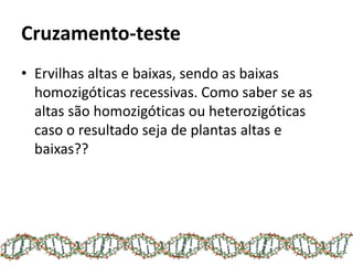 Cruzamento-teste
• Ervilhas altas e baixas, sendo as baixas
homozigóticas recessivas. Como saber se as
altas são homozigóticas ou heterozigóticas
caso o resultado seja de plantas altas e
baixas??
 