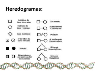 Heredogramas:
 