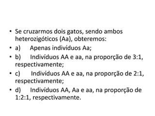 • Se cruzarmos dois gatos, sendo ambos
heterozigóticos (Aa), obteremos:
• a) Apenas indivíduos Aa;
• b) Indivíduos AA e aa, na proporção de 3:1,
respectivamente;
• c) Indivíduos AA e aa, na proporção de 2:1,
respectivamente;
• d) Indivíduos AA, Aa e aa, na proporção de
1:2:1, respectivamente.
 