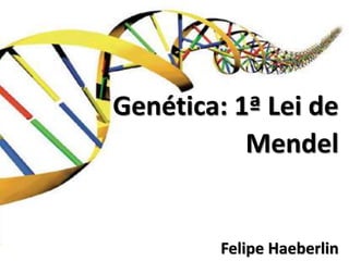 Genética: 1ª Lei de
Mendel
Felipe Haeberlin
 