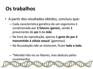 Os trabalhos
• A partir dos resultados obtidos, concluiu que:
– Cada característica genética de um organismo é
condicionad...
