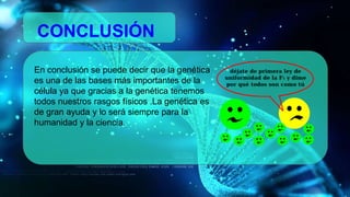 CONCLUSIÓN
En conclusión se puede decir que la genética
es una de las bases más importantes de la
célula ya que gracias a la genética tenemos
todos nuestros rasgos físicos .La genética es
de gran ayuda y lo será siempre para la
humanidad y la ciencia.
 