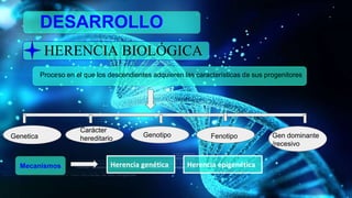DESARROLLO
HERENCIA BIOLÓGICA
Proceso en el que los descendientes adquieren las características de sus progenitores
Genetica
Carácter
hereditario Genotipo Fenotipo Gen dominante
/recesivo
Mecanismos Herencia genética Herencia epigenética
 