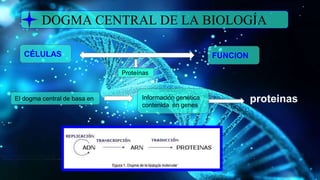 DOGMA CENTRAL DE LA BIOLOGÍA
CÉLULAS FUNCION
Proteínas
El dogma central de basa en Información genética
contenida en genes
proteinas
 